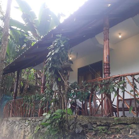 Dulmini Homestay Элла Экстерьер фото